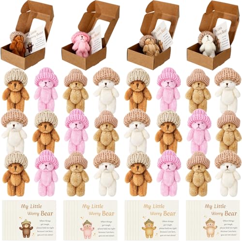 Teyva Daily 24 Sets Mini Worry Bear Plush in Box Little Bears Bulk with a Hat Handmade Soft Pocket Teddy Bears with Encouragement Card Stress Relief Toys Party Gift for Backpack (Multicolor)
