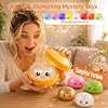 Dumpling Squishy Mystery Box, Random 1 of 14 Colors, Cute Squishy Dumpling Toy, Soft Stretchy Squeeze Toy, Sensory Fidget Toys for Anxiety Relief, Perfect for Party Favors, Birthday Gifts & Desk Toys #1