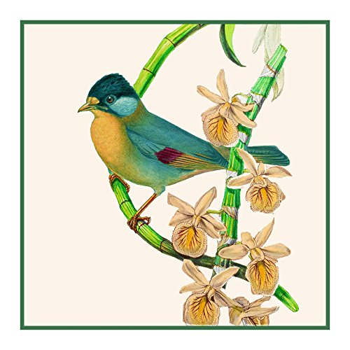 Orenco Originals Silver Eared Leiothrix by Gould Bird Counted Cross Stitch Pattern