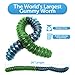 World's Largest Gummy Worm - Blue Raspberry/Green Apple