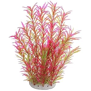 LAIYOHO 1 Stück Aquarium Pflanze Rosa/Grün
