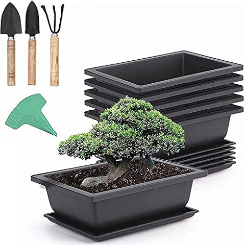 6 Pieces Rectangle Plant Pot with 7 Pieces Plant Labels, Plastic Bonsai Training Pots, Flower Succulent Pots with Trays Durable Planter Plants Growing Pots Container for Garden SMALL Cover