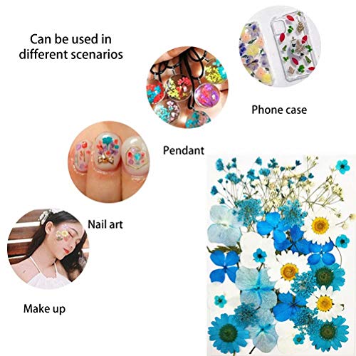 Flores secas prensadas reales para manualidades, 65 piezas miniatura 3