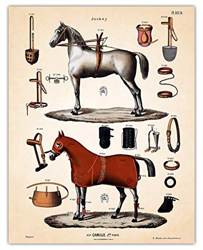 horseback equipment
