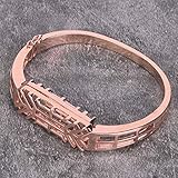 La pulsera de joyería especialmente diseñada es compatible con Fitbit Flex 2 y no con Fitbit otro modelo.