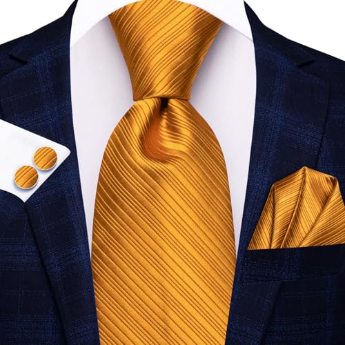 Image of Hi-Tie Mens Paisley Floral Striped Ties Set Silk Necktie and Lapel Pin for Men Pocket Square Cufflinks Set Business Wedding