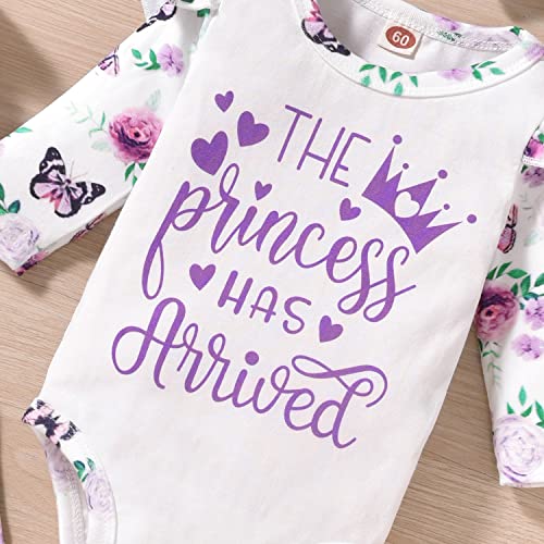 Aalizzwell Baby Girls Outfit 0-3 Months, Newborn Infant Princess Arrived Clothes Long Sleeve Floral Fall Winter Clothing Purple Coming Home #TOP4
