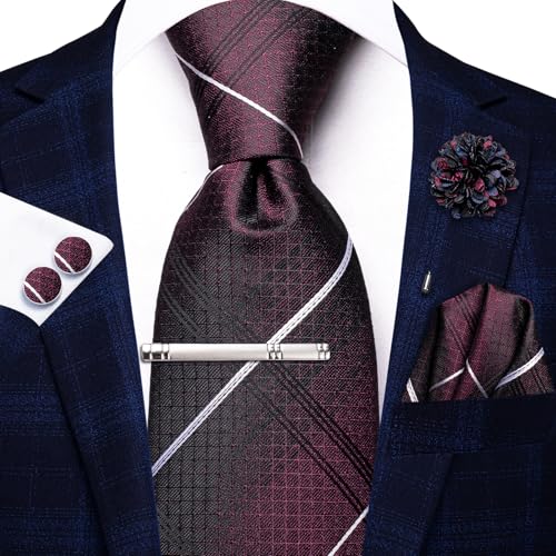 Image of Hi-Tie Mens Paisley Floral Striped Ties Set Silk Necktie and Lapel Pin for Men Pocket Square Cufflinks Set Business Wedding