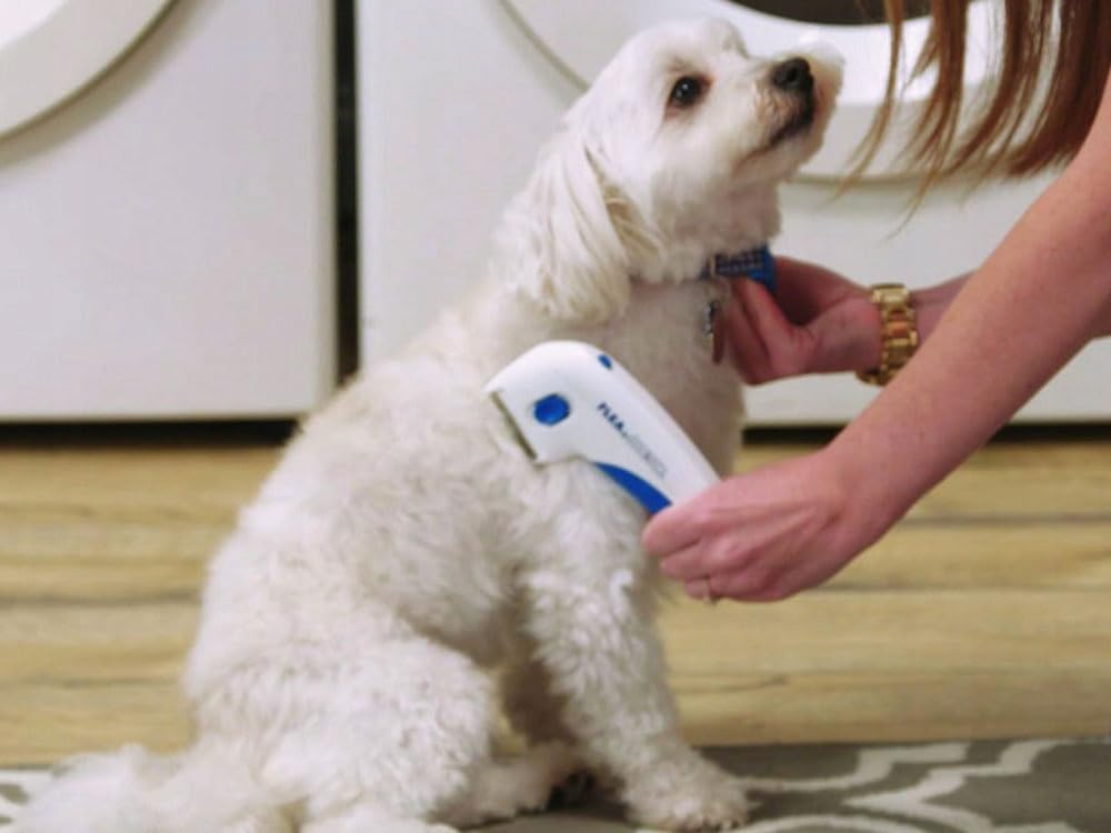 Peigne Anti Puces Electrique Pour Animal De Compagnie Pour Chien Et Chat Pour Éliminer Efficacement les Puces - Peigne pour Nettoyer les Poux