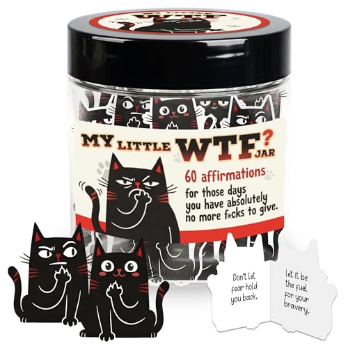 Funny Affirmation Jar 60 Affirmation Cards For Women Gift For Cat Lovers