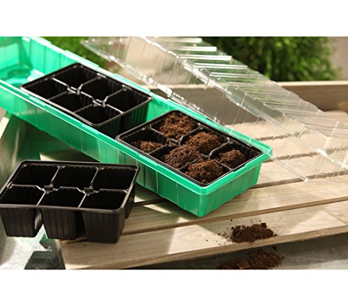 Dehner Zimmergewächshaus Pluto, inkl. 18 Pflanztöpfe, ca. 54 x 15 x 12 cm, Kunststoff, Grün