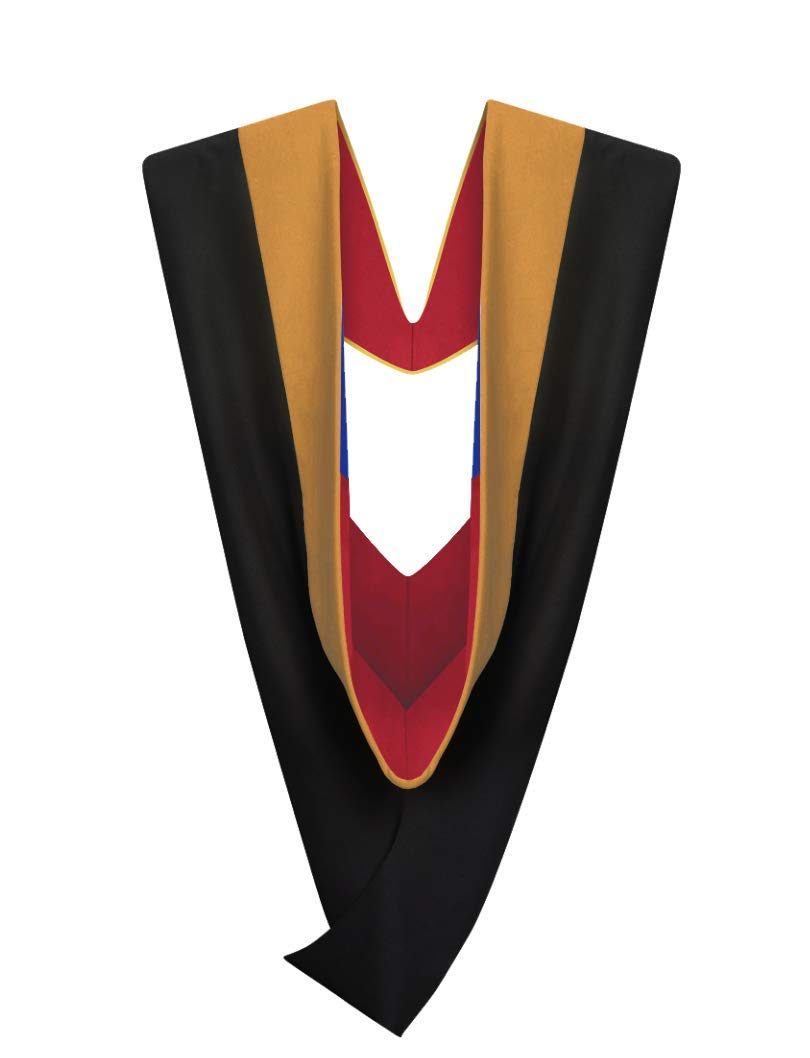 Cappe Diem Master of Business Administration MBA Drab Master Graduation Hood