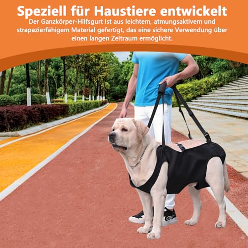 Tragehilfe Hund Groß, Tragegeschirr Hunde Hebegeschirr, Tragehilfe Hund Treppe für Behinderte, Verletzte oder Ältere Hunde (L)