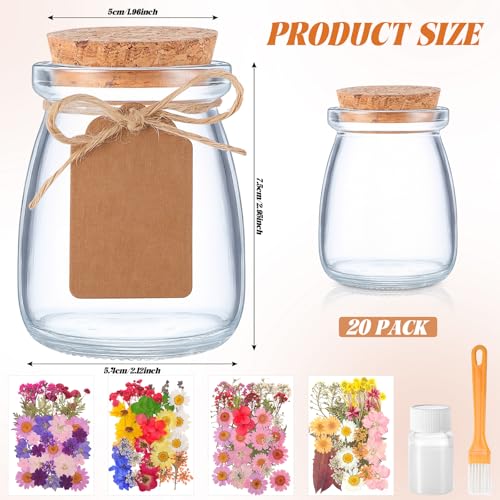 Set de 162 piezas de flores secas y frascos de vidrio con tapón miniatura 3