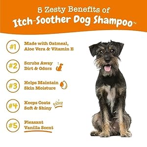 Dog Shampoo with Oatmeal & Aloe Vera – Grooming Pet Wash for Itchy & Sensitive Skin + Dandruff & Coat – Gentle Anti Itch Formula – Vanilla Bean Scent – 16 OZ