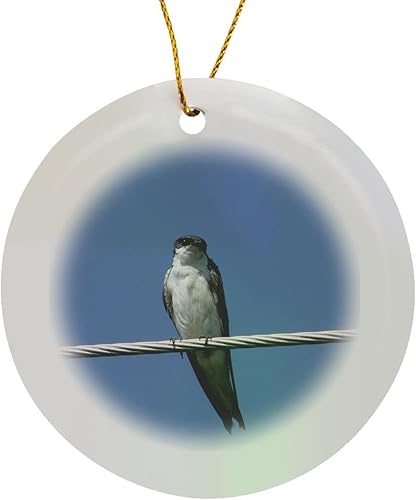 Miniatura 8 de 3dRose orn _ 6440 _ 1 hembra granero golondrinas fotografía por Angelandspot porcelana adorno de copo de nieve, 3-Inch