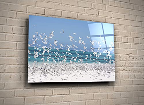 Genericc Flock Of Seagulls Flying Sea Coast Birds Glass Wall