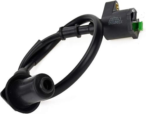 Miniatura 3 de HIAORS Bobina de encendido GY6 para 50cc 70cc 110cc 150cc TaoTao Jonway NQ50 Ruckus Elite50 NPS50 Roketa IceBear BMS Tomberlin Crossfire 150R