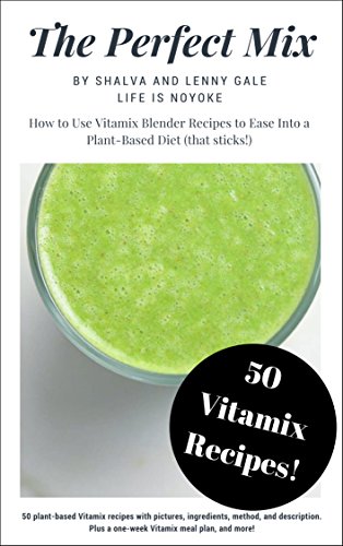 The Perfect Mix: How to Use Vitamix Blender Recipes to Ease Into a