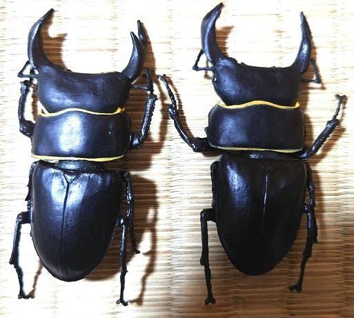 BANDAI 昆虫フィギュア ミヤマクワガタ オオクワガタ ゴライアスハナムグリ BANDAI 昆虫フィギュア ミヤマクワガタ オオクワガタ ゴライアス