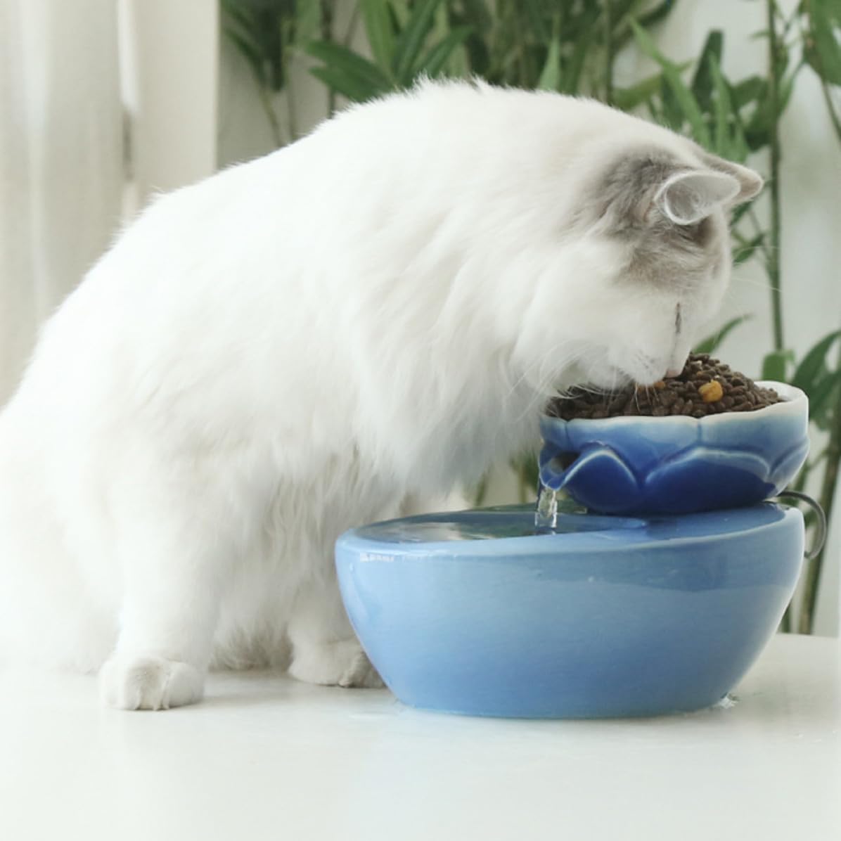 Fontanella per Acqua Sempre Fresca a Casa Automatica in Ceramica per Gatti e Cani con Capacità 1.5l, Design Creativo a Forma di Loto, Filtro Integrato