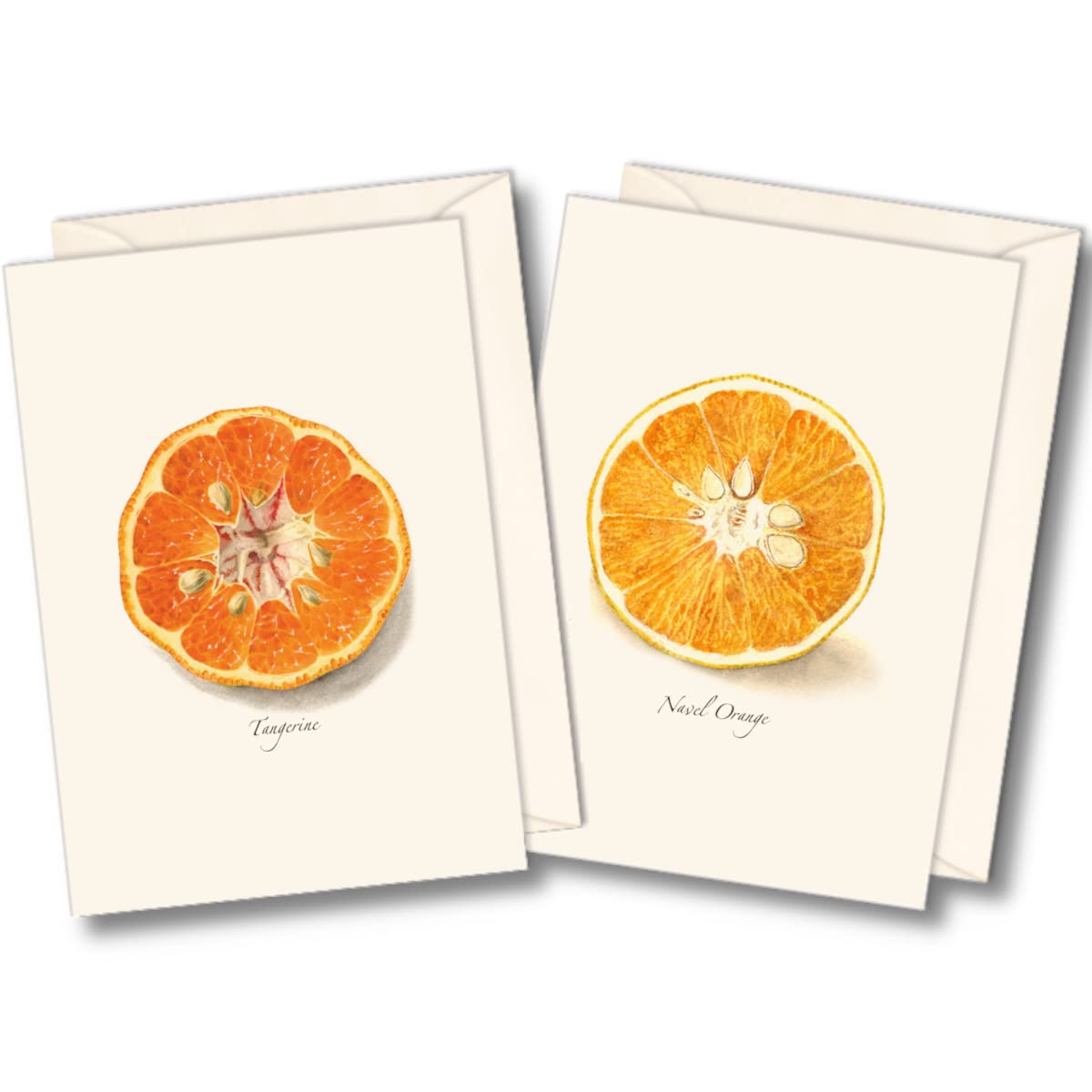 Earth Sky + Water - Citrus Assortment Notecard Set - 8 Blank Cards with Envelopes (4 each of 2 styles)