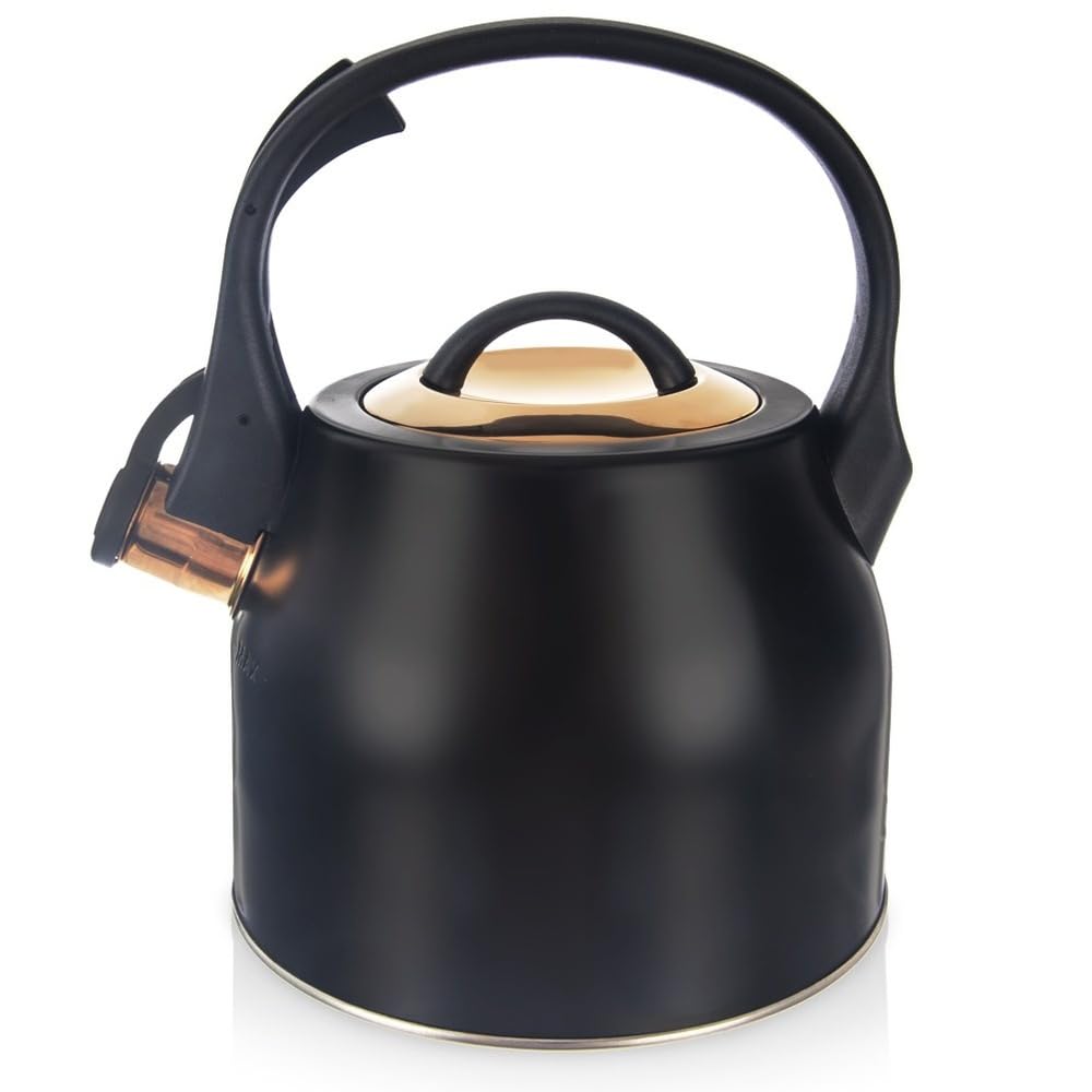orion group Hervidor de agua color negro