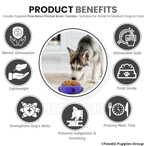 Image of Foodie Puppies Stainless Steel Dog Bowl Combo - (Medium, 700ml) Food and Water Feeding Gift Bowl | Suitable for Dogs, Cats and Other Pets I Paw Bone Print, Anti-Skid Rubber Base (Black + Purple)
