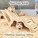 Large Size Syrian Hamster Explorer Set - Snap-Together Wooden Burrow with Panoramic Window,Natural Chew-Safe Design Decorative Landscaping Digging Peeping Hide Underground Fun for Cage Enrichment