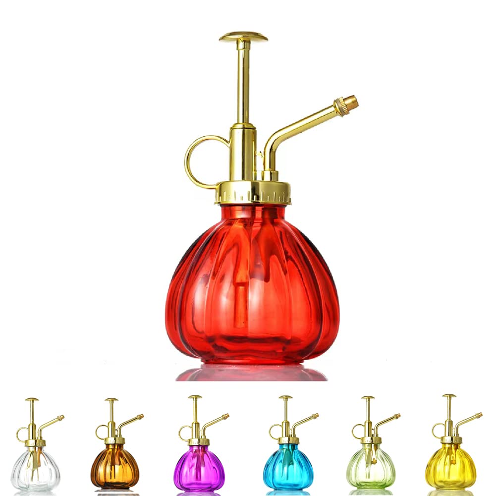 product_img5