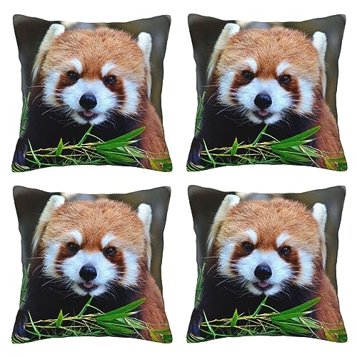 Housse de coussin panda rouge 45x45 cm lavable pour rénover votre canapé - 2