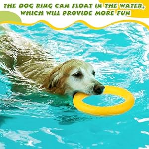 Liliful 4 Pcs Outdoor Dog Toy Dog Ring Toy Dog Flying Discs Dog Chew Toy Dog Playground Equipment for Small Medium Large Dog Training Fetching Throwing Catching Interactive Play, 4 Colors Liliful 4 Pcs Outdoor Dog Toy Dog Ring Toy Dog Flying Discs Dog Chew Toy Dog Playground Equipment for Small Medium Large Dog Training Fetching Throwing Catching Interactive Play 4 Colors