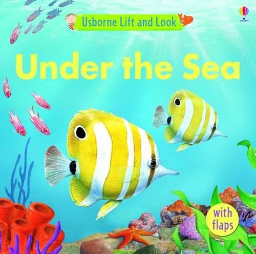 Amazon | Lift and Look Under the Sea | Greenwell, Jessica, Scott, Peter ...