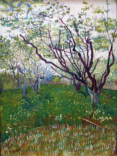 Posters et art pour décoration chambre Van Gogh Le verger en fleurs 60x90