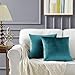GIGIZAZA Velluto Copricuscini 55x55 cm Decorativi Federe Cuscini Quadrate per Cuscino per Divano Camera da Letto Blu Pavone 2 Pezzi