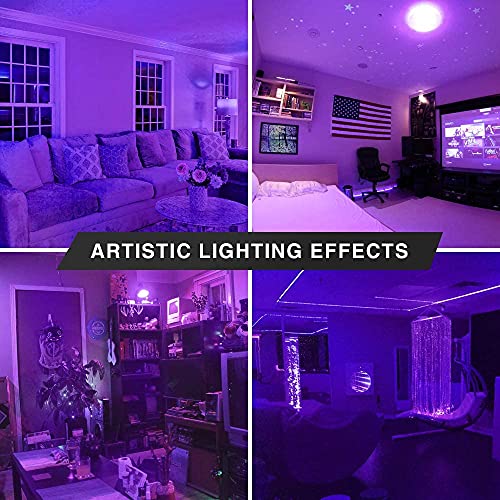 2 Pack Bluex Led A21 Purple Light Bulbs - 15W (120Watt Equivalent) - E26 Base Purple Led Purple Bulb, Party Decoration, Porch, Home Lighting, Holiday Lighting, Decorative Illumination Purple Led Bulb #TOP5
