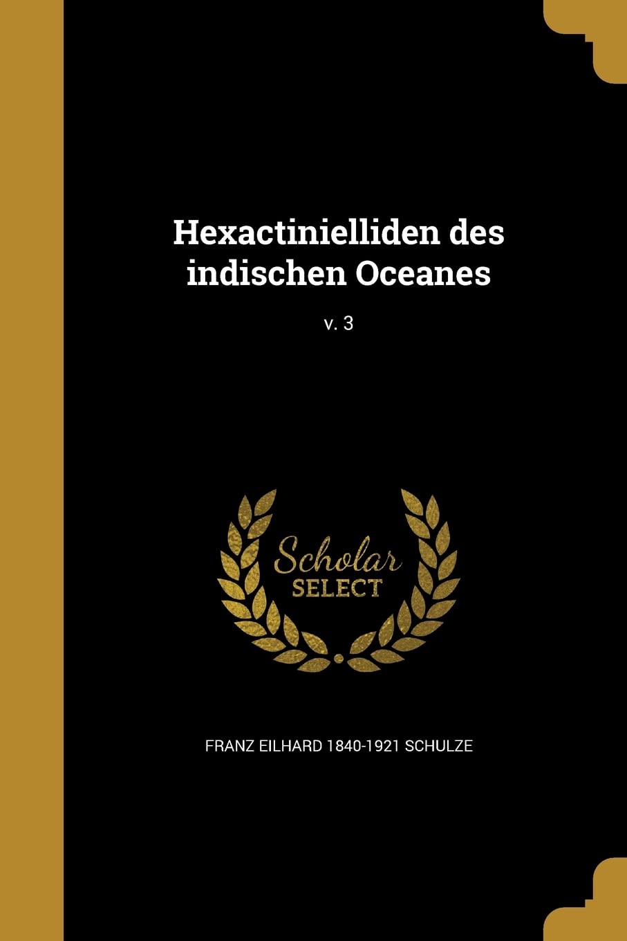 Hexactinielliden des indischen Oceanes; v. 3