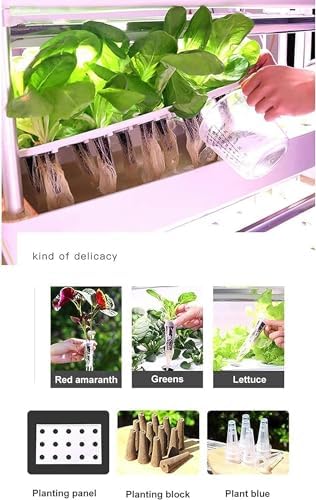 Indoor Hydroponic Vegetable Growing Kit - 48/64/90/120 Plant Spaces for Herbs, Fruits & Vegetables - Complete Hydroponic System for Home Gardening
