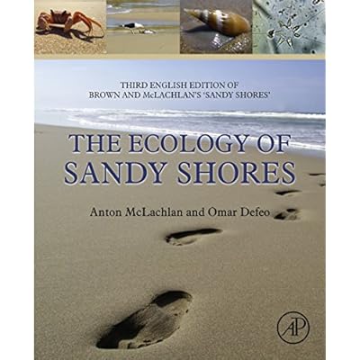 The Ecology of Sandy Shores