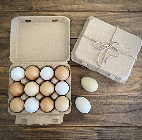 Vintage Blank Egg Cartons- Classic 3x4 Style Holds 12 Large Eggs, Sturdy Design Made from Recycled Cardboard (25) - Thumbnail 2