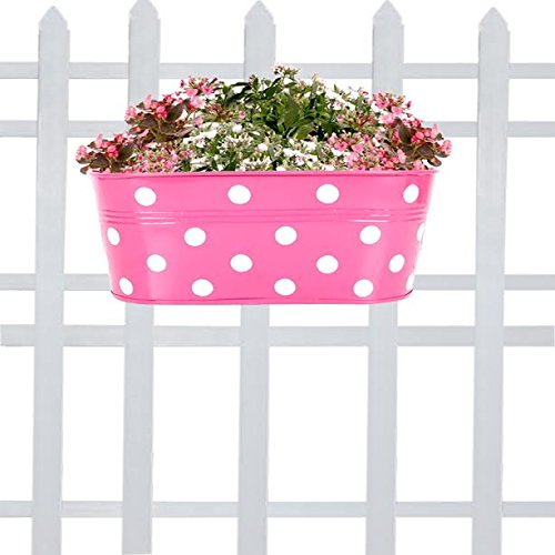 TrustBasket Dotted Oval Railing Planter for Balcony with Detachable Handle (Magenta, 12 inch) | Hanging Planter | Anti Rust Plant Container Gamla for Home Décor | Indoor & Outdoor (B01NBN9EDM) Amazon Price History, Amazon Price Tracker