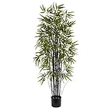 Nearly Natural 5418 Black Bamboo Tree, 5-Feet, Green,62.5' x 9' x 9'