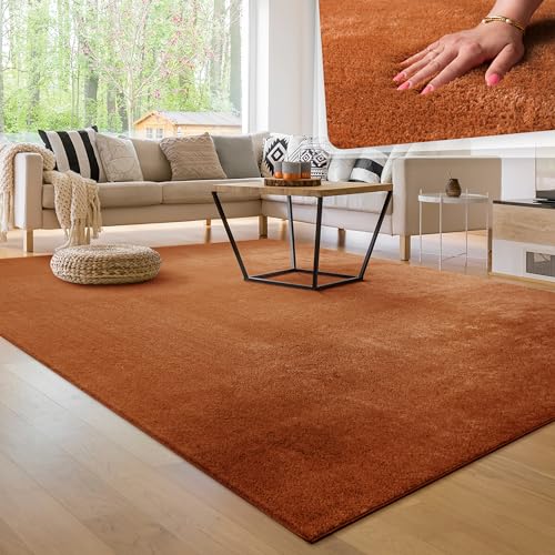 Paco Home Waschbarer Teppich Wohnzimmer Schlafzimmer Kurzflor rutschfest Flauschig Weich Moderne...