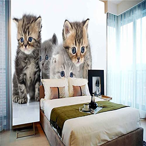 Canevas papier peint 3D chaton haute définition aux finitions texturées premium - 5