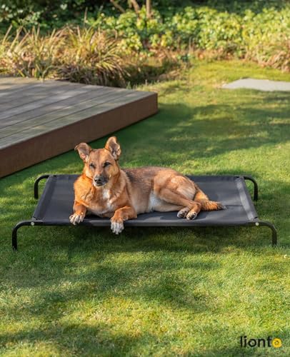 lionto Hundebett aus Textilene-Stoff, (L) 100 x 76 cm, Schwarz