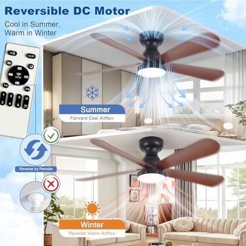 Image of Depuley Small Ceiling Fan with Lights: 42-Inch Flush Mount Fan with Light and Remote - Low Profile Ceiling Fans Reversible Quiet DC Motor for Bedroom Living Room Indoor Outdoor, Walnut