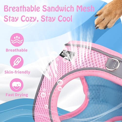 Image of AIITLE Dog Harness, No-Pull Cat Harness with a Leash, Adjustable Reflective Dog Vest, Cat Harness Escape Proof, Outdoor Walking, Running,Training for Extra Small Dogs and House Cats Pink XXXS