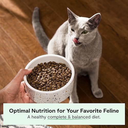 Open Farm, Grain Free Dry Cat Food, High-Protein Kibble for a Complete & Balanced Diet, Non-GMO Fruits & Vegetables, Prebiotic Fibers to Support Digestion, Homestead Turkey & Chicken Recipe, 8lb Bag | All Life Stages, High Protein, Prebiotic Fibers, 100% Traceable Ingredients, Non-GMO Fruits & Veggies. - Image 3