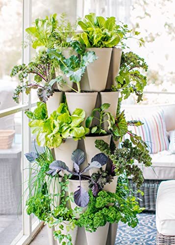 indoor vertical garden system Package product image