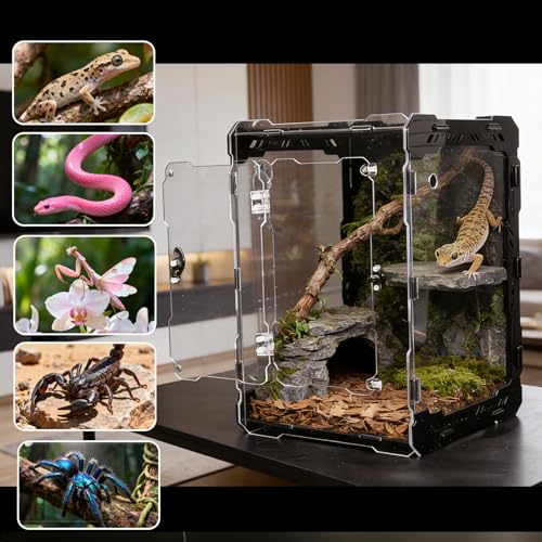 Image of Acrylic Terrarium 14x10x10 Inch - Front Opening Reptile Enclosure with Magnetic Feeder - Escape-Proof Habitat for Arboreal Tarantulas, Scorpions & Geckos